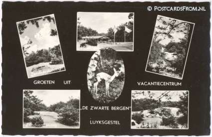 ansichtkaart: Luyksgestel, Groeten uit Vacantiecentrum 'De Zwarte Bergen'