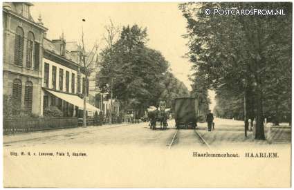 ansichtkaart: Haarlem, Haarlemmerhout