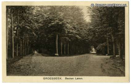 ansichtkaart: Groesbeek, Beuken Lanen