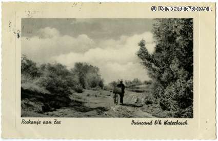 ansichtkaart: Rockanje, Duinrand b.h. Waterbosch