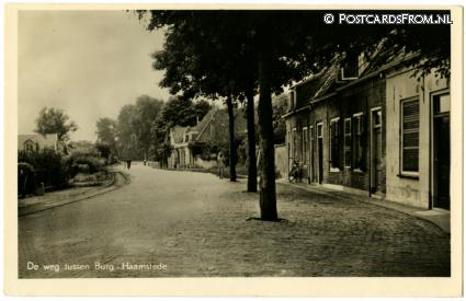 ansichtkaart: Burgh-Haamstede, De weg tussen Burg - Haamstede