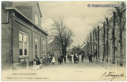 ansichtkaart: Nieuwenhoorn, Straatweg