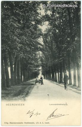 ansichtkaart: Heerenveen, Leeuwardenstraatweg