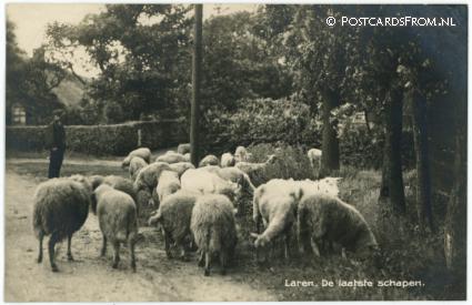 ansichtkaart: Laren GL, De laatste schapen