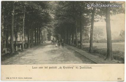 ansichtkaart: Doetinchem, Laan voor het gesticht 'de Kruisberg'