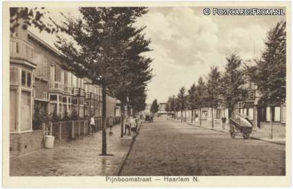 ansichtkaart: Haarlem, Noord. Pijnboomstraat