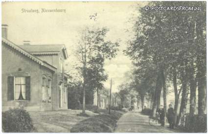ansichtkaart: Nieuwenhoorn, Straatweg