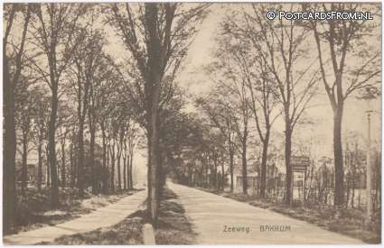 ansichtkaart: Bakkum, Zeeweg