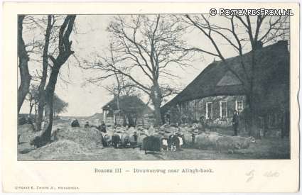 ansichtkaart: Borger, III - Drouwenweg naar Alingh-hoek