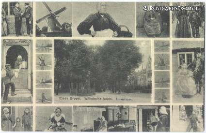 Hilversum, Einde Groest. Wilhelmina boom ansichtkaart: Hilversum, Einde Groest. Wilhelmina boom