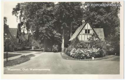 ansichtkaart: Wassenaar, Oud-Wassenaarseweg
