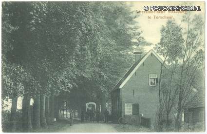 ansichtkaart: Terschuur, Amersfoortsche Straatweg