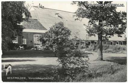 Vierhuizen, Westpolder. Veredelingsbedrijf ansichtkaart: Vierhuizen, Westpolder. Veredelingsbedrijf