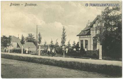 ansichtkaart: Boskoop, Biezen