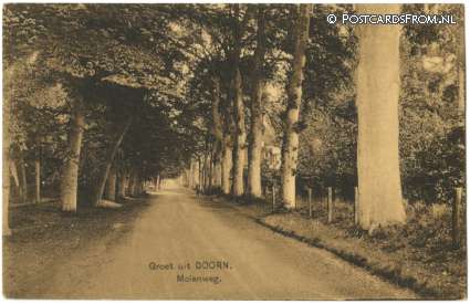 ansichtkaart: Doorn, Molenweg