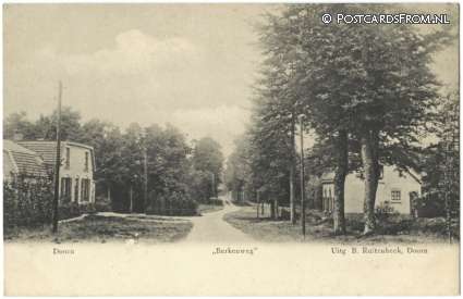 ansichtkaart: Doorn, Berkenweg
