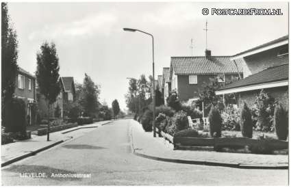 Lievelde, Anthoniusstraat ansichtkaart: Lievelde, Anthoniusstraat