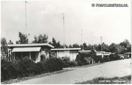 ansichtkaart: Harfsen, Callunahof