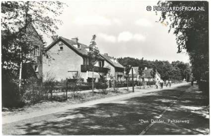 ansichtkaart: Den Dolder, Paltzerweg