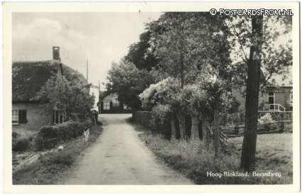 ansichtkaart: Hoogblokland, Beemdweg