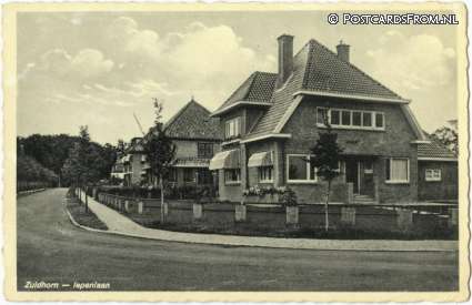 Zuidhorn, Iepenlaan ansichtkaart: Zuidhorn, Iepenlaan