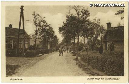 ansichtkaart: Veenklooster, Hanenburg bij Veenklooster. Boschbuurt