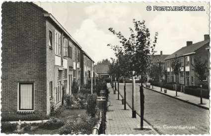 ansichtkaart: Sassenheim, Concordiastraat