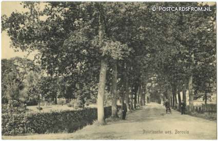 Borculo, Ruurlosche weg ansichtkaart: Borculo, Ruurlosche weg