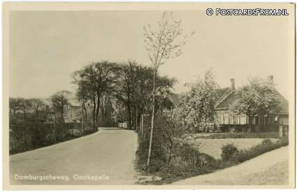 Oostkapelle, Domburgscheweg ansichtkaart: Oostkapelle, Domburgscheweg