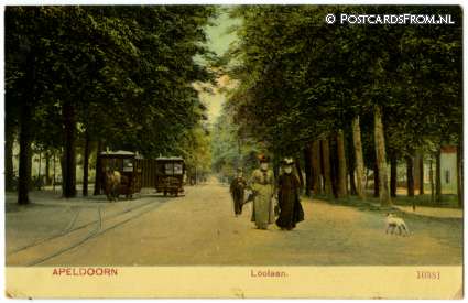 ansichtkaart: Apeldoorn, Loolaan