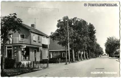 ansichtkaart: Sleeuwijk, Kastanjelaan