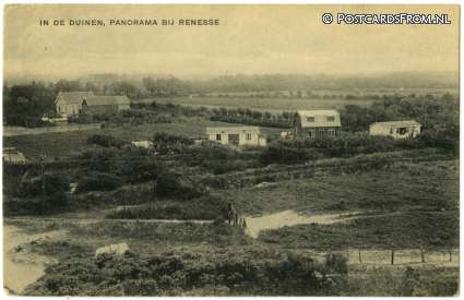 ansichtkaart: Renesse, In de Duinen, Panorama