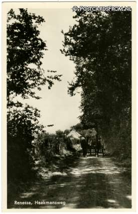 ansichtkaart: Renesse, Haakmansweg
