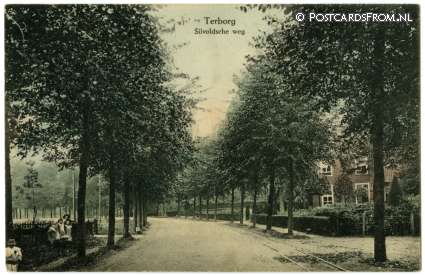 Terborg, Silvoldsche weg ansichtkaart: Terborg, Silvoldsche weg