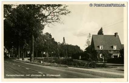 ansichtkaart: Westervoort, Hamerschestraat met plantsoen