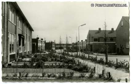 ansichtkaart: Westzaan, Leeuwerikstraat - Roerdompstraat