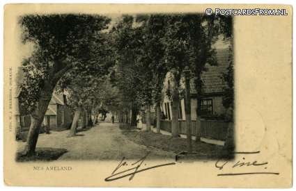Nes Ameland, -- ansichtkaart: Nes Ameland, --