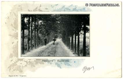 Hoogeveen, Pesserdijk ansichtkaart: Hoogeveen, Pesserdijk