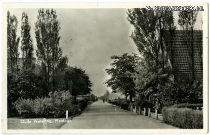 ansichtkaart: Oude Wetering, Plantage