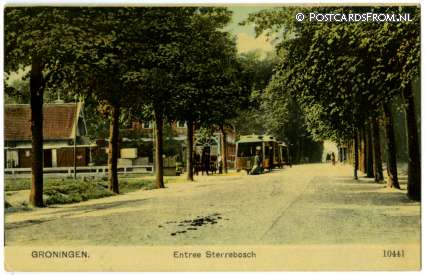 ansichtkaart: Groningen, Entree Sterrebosch. Stoomtram