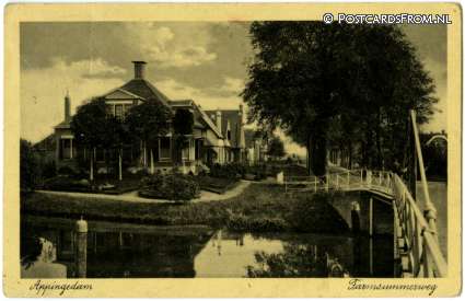 ansichtkaart: Appingedam, Farmsummerweg