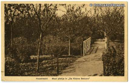 ansichtkaart: Haastrecht, Mooi plekje in 'De Kleine Betuwe'