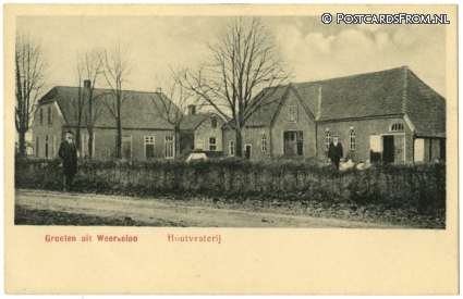 ansichtkaart: Weerselo, Houtvesterij