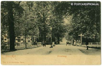 ansichtkaart: Soestdijk, Straatweg