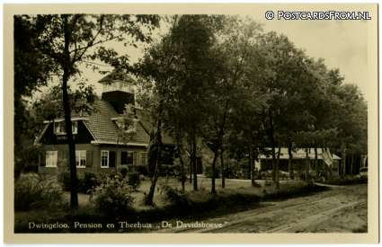 ansichtkaart: Dwingeloo, Pension en Theehuis 'De Davidshoeve'