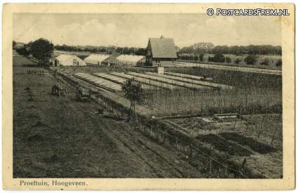 Hoogeveen, Proeftuin ansichtkaart: Hoogeveen, Proeftuin