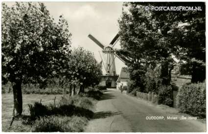 Ouddorp, Molen 'De Hoop' ansichtkaart: Ouddorp, Molen 'De Hoop'