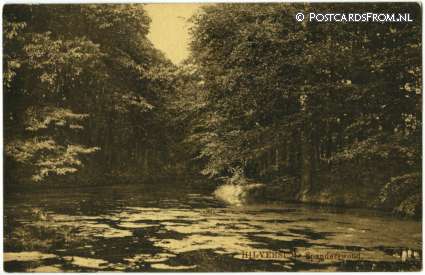 ansichtkaart: Hilversum, Spanderswoud