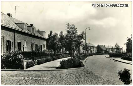 Dreischor, Mr. P. Moggestraat ansichtkaart: Dreischor, Mr. P. Moggestraat