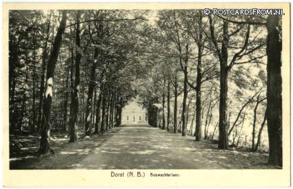ansichtkaart: Dorst, Boswachterlaan
